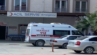 Tarlasında ot temizlerken yılan soktu