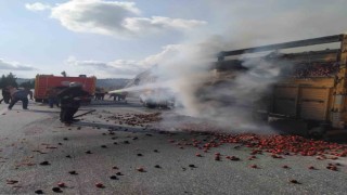Tarsusta domates yüklü kamyon yandı