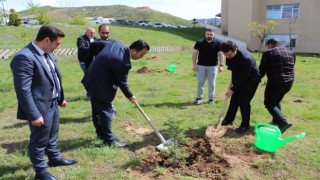Tatvan Devlet Hastanesi bahçesinde fidan dikme etkinliği