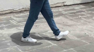 Tatvanda çekirgeler şehir merkezini istila etti