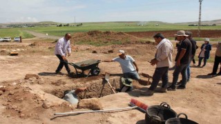 Tharsa Antik Kentte iki boğa başı bulunan mezar bulundu