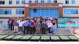 Tuncelide 228 üreticiye 84 bin domates fidesi dağıtıldı