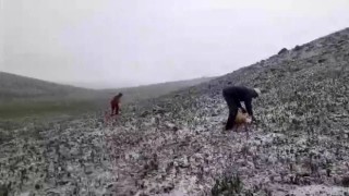 Tuncelide mayısın ortasında kar yağdı