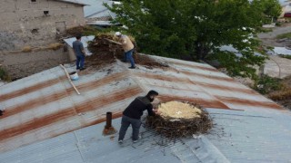 Tuncelide örnek davranış: Hasarlı binaların çatılarındaki leylek yuvaları güvenli yere taşındı