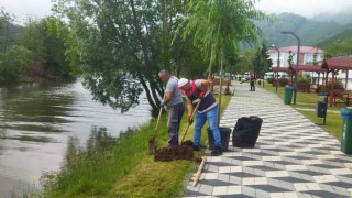 Turnasuyu Kordon Parkta yeşillendirme çalışmaları başlatıldı