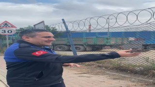 Uçamayan serçenin imdadına yetiştiler