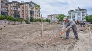 Ünsala yeşil bahçe
