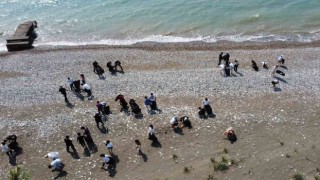 Üreme öncesi carettaların yuva yaptığı sahili öğrenciler temizledi