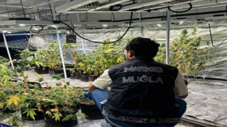 Uyuşturucu operasyonlarında 2 gözaltı