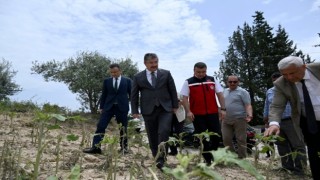 Vali Yılmaz doludan zarar gören çiftçileri ziyaret etti: “Zarar karşılanacak”