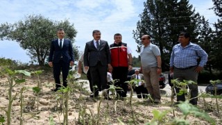 Vali Yılmaz, şiddetli yağmur nedeniyle zarar gören tarım arazilerinde inceleme yaptı