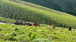 Vanda ot toplarken kayalıklardan düşen şahıs kurtarıldı
