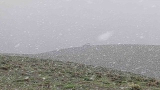 Vanın yüksek kesimlerinde mayıs ayında lapa lapa kar yağdı