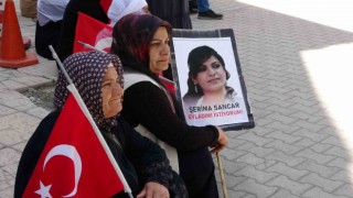 Vanlı anne: “O ceza Selahattin Demirtaşa azdır”