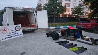 Yalovada 2 ton 300 kilo kaçak midye ele geçirildi