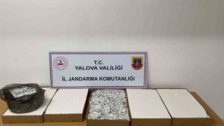 Yalovada 35 bin adet dolu makaron ele geçirildi