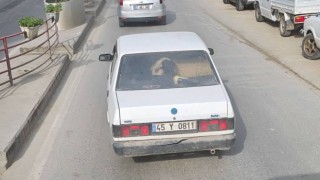 Yalovada otomobilin arka koltuğunda koyunu görenler şaştı kaldı