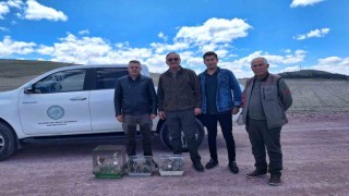 Yasa dışı olarak saka kuşu bulunduranlar yakalandı
