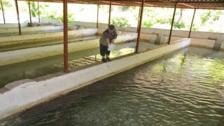 Hobi olarak başladığı alabalık yetiştiriciliğinde burs verir hale geldi
