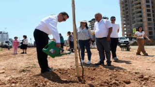 Yenişehir Belediyesi ağaçlandırma çalışmalarını sürdürüyor