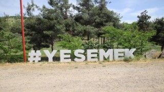 Yesemekte sulama kanalı inşaatını durdurma kararına karşı istinaf başvurusu reddedildi