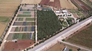 Yılda 1 milyona yakın fidan üretimi yapılıyor