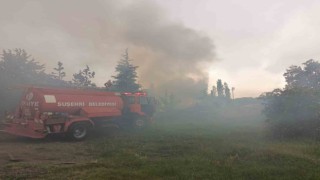 Yıldırımın düştüğü barakaya yanarak kül oldu