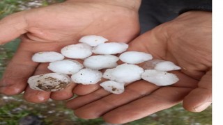 Yunak ve Çeltikte dolu yağışı etkili oldu