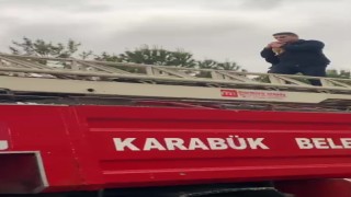 Yurt bahçesindeki ağaçta mahsur kalan kedi kurtarıldı