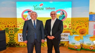 Yüzde 100 yerli ayçiçek tohumu Türk tarımına kazandırıldı