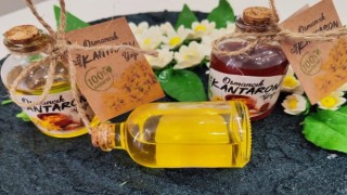 Zeytinyağı ve sarı kantaron yağı ilçe ekonomisine katkı sağlayacak