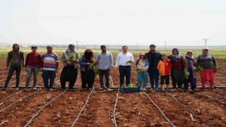 Zor şartlarda çalışan çiftçiler, 1 Mayısta tarlalarını boş bırakmadı