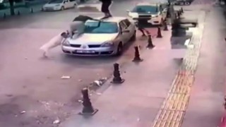 2 genç, köpek saldırısından aracın üzerine çıkarak kurtuldu