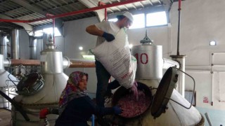 4 tondan sadece 1 litre çıkıyor, litresi 400 bin TLyi buluyor