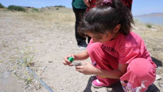 8 yaşındaki kızın, susuz kalan martı yavrusunu kurtarma mücadelesi yüreklere dokundu