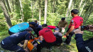9 gündür kayıp olarak aranan kadın, ormanlık alanda bulundu