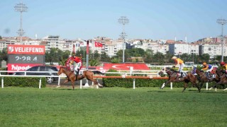98. Gazi Koşusunu Dragon Flame kazandı