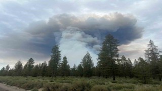 ABDnin Oregon eyaletinde orman yangını: Bin 700 dönümlük alan kül oldu