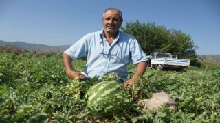 Adananın sıcağı Aydına yaradı