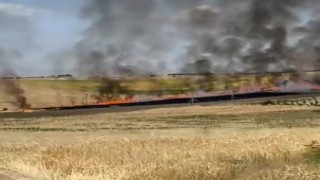 Adıyamanda 40 dönümlük buğday tarlası yandı