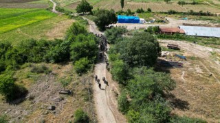 Afrika değil Tokat: Tokatta Afrika belgesellerini andıran görüntüler