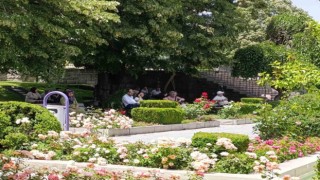 Afyonkarahisarda aşırı sıcaklar etkili oldu
