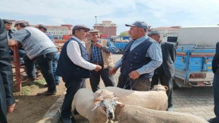 Afyonkarahisarda küçükbaş kurbanlıklar müşterilerini bekliyor