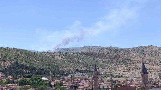 Afyonkarahisarda ormanlık alanda yangın