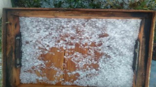 Ağrıda dolu yağışı ekinlere ve arıcılığa zarar verdi