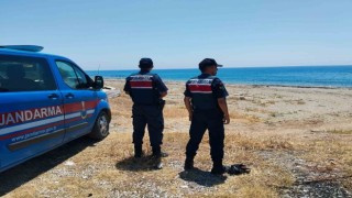Alanyada yeşil deniz kaplumbağası ve caretta carettaların yuvalanma bölgeleri kontrol edildi