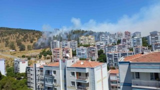 Aliağada orman yangını