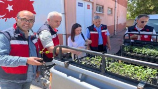 Altıntaşta ilkokul öğrencilerine sebze fidesi dağıtıldı