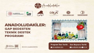 Anadoludakiler: GAP Bedesten Teknik Destek Programı başvuruları başladı