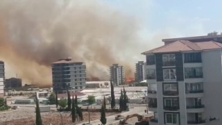 Anız yangını korku ve paniğe neden oldu